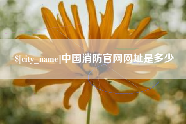 磁县中国消防官网网址是多少