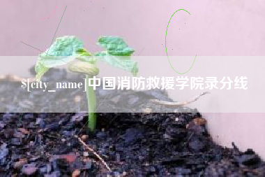 磁县中国消防救援学院录分线