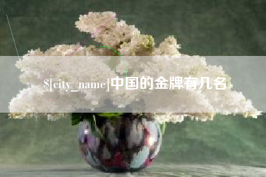 磁县中国的金牌有几名