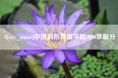 磁县中国消防救援学院2020录取分