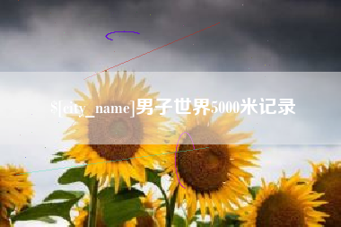 磁县男子世界5000米记录
