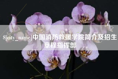 磁县中国消防救援学院简介及招生章程指挥部