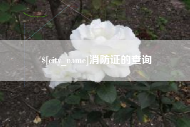 磁县消防证的查询