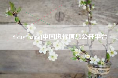 磁县中国执行信息公开平台