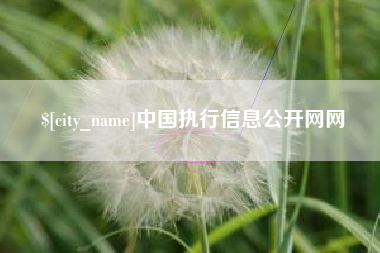 磁县中国执行信息公开网网
