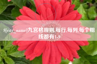 磁县九宫格规则,每行,每列,每个粗线都有1-9