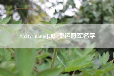 磁县2024奥运冠军名字