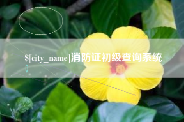 磁县消防证初级查询系统