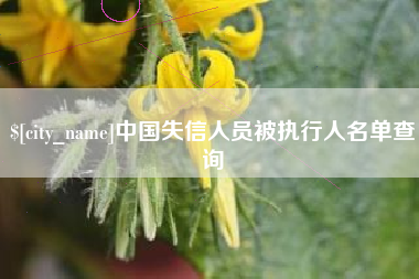 磁县中国失信人员被执行人名单查询