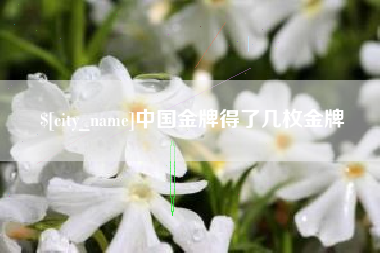 磁县中国金牌得了几枚金牌