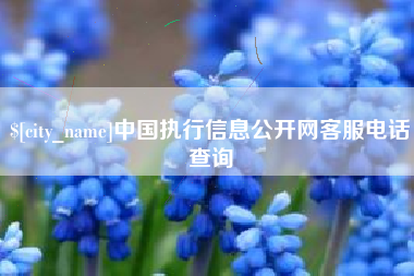 磁县中国执行信息公开网客服电话查询