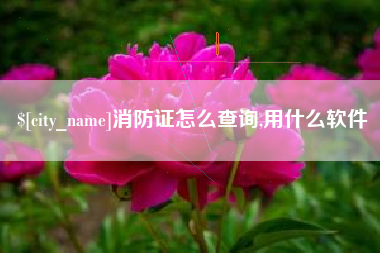 磁县消防证怎么查询,用什么软件