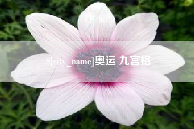 磁县奥运 九宫格