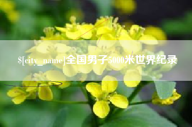 磁县全国男子5000米世界纪录