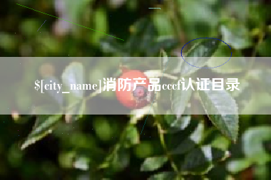 磁县消防产品cccf认证目录