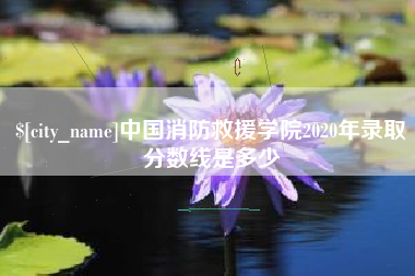 磁县中国消防救援学院2020年录取分数线是多少