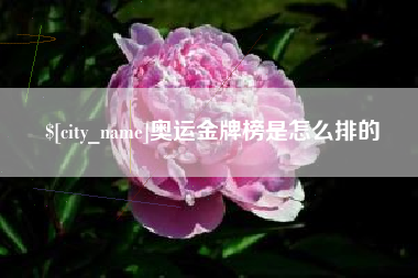 磁县奥运金牌榜是怎么排的