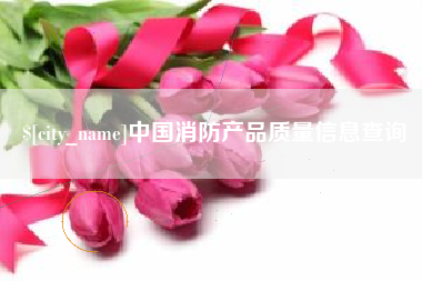 磁县中国消防产品质量信息查询