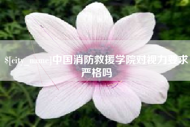 磁县中国消防救援学院对视力要求严格吗