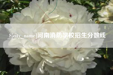 磁县河南消防学校招生分数线