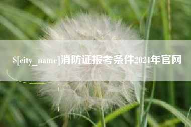磁县消防证报考条件2024年官网