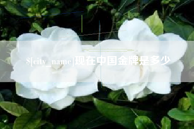 磁县现在中国金牌是多少