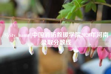 磁县中国消防救援学院2020年河南录取分数线