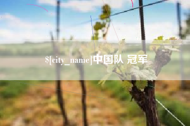 磁县中国队 冠军