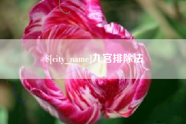 磁县九宫排除法