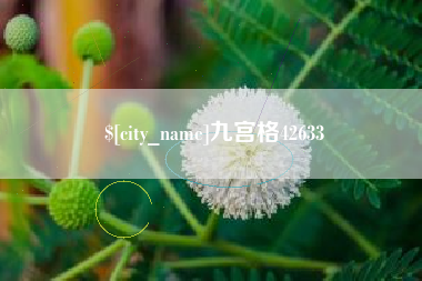 磁县九宫格42633