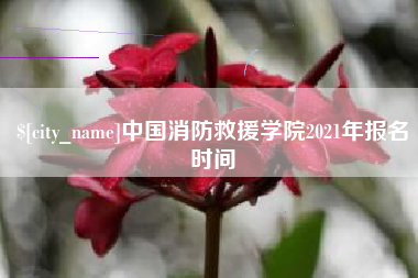 磁县中国消防救援学院2021年报名时间