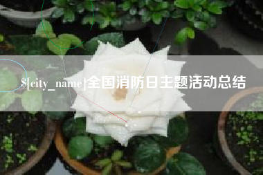 磁县全国消防日主题活动总结