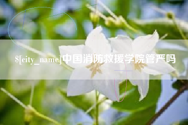 磁县中国消防救援学院管严吗