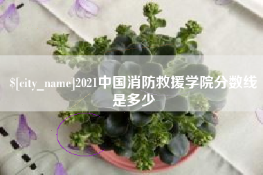 磁县2021中国消防救援学院分数线是多少