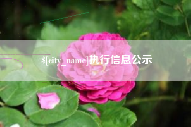 磁县执行信息公示