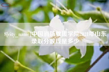 磁县中国消防救援学院2021年山东录取分数线是多少