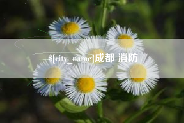 磁县成都 消防