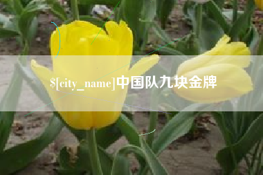 磁县中国队九块金牌
