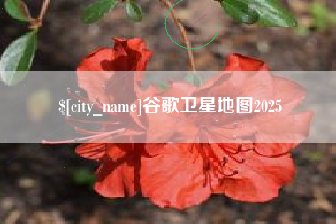磁县谷歌卫星地图2025