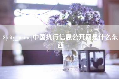 磁县中国执行信息公开网是什么东西