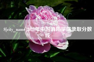 磁县2021年中国消防学院录取分数线
