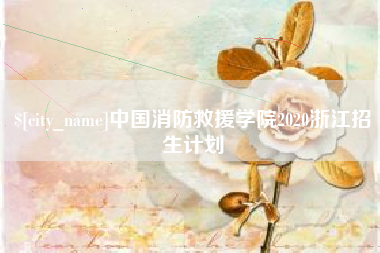 磁县中国消防救援学院2020浙江招生计划