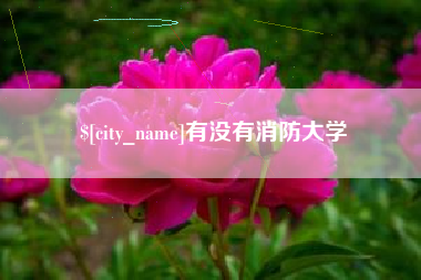 磁县有没有消防大学