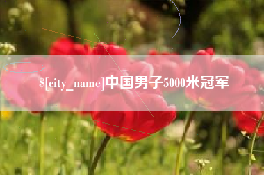 磁县中国男子5000米冠军