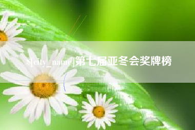 磁县第七届亚冬会奖牌榜