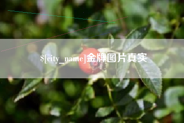 磁县金牌图片真实
