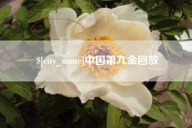 磁县中国第九金回放