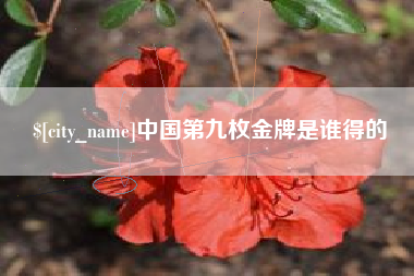 磁县中国第九枚金牌是谁得的