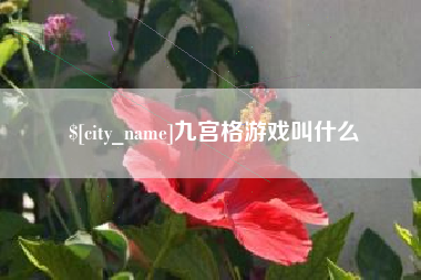 磁县九宫格游戏叫什么