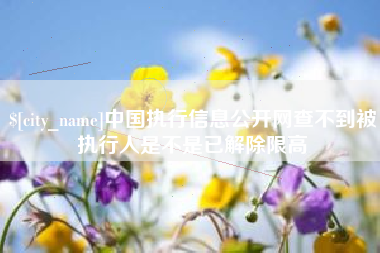 磁县中国执行信息公开网查不到被执行人是不是已解除限高